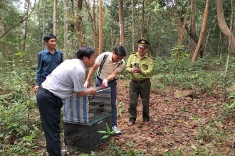 Phong Nha - Kẻ Bàng phối hợp tái thả 166 cá thể động vật hoang dã về tự nhiên
